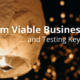 Minimum Viable Business Product